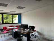 professionnel — photo 3