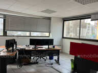 professionnel — photo 4