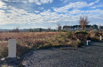 vente terrain 96 000 € à proximité de Sainte-Eulalie-en-Born (40200)