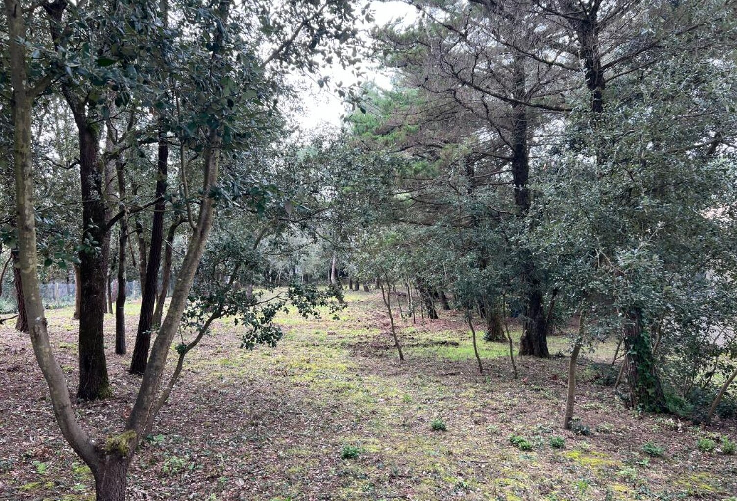 Terrain à vendre - SAINT GEORGES D' OLERON — photo 1
