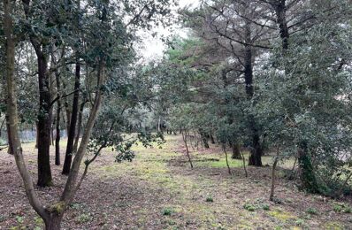 vente terrain 265 000 € à proximité de Le Château-d'Oléron (17480)