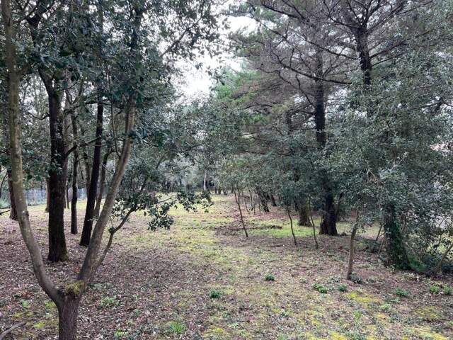 Terrain à vendre - SAINT GEORGES D' OLERON — photo du bien