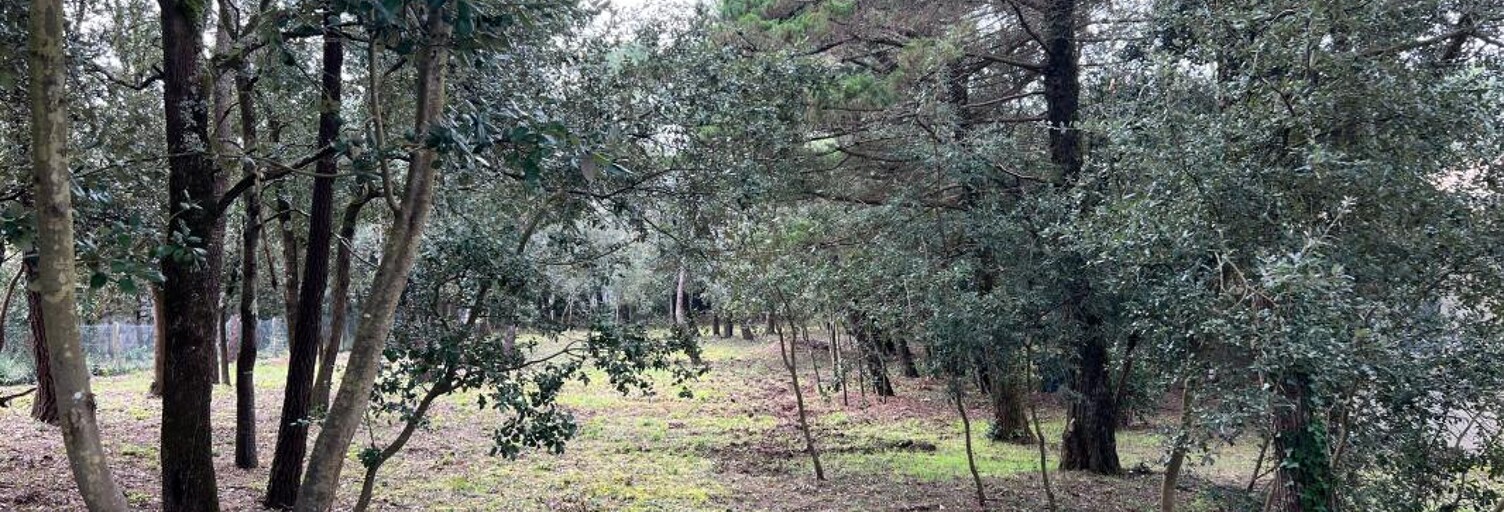 Terrain  851 m² à vendre à Saint-Georges-d'Oléron (17190)