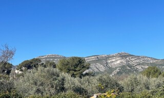 Photo N° 6