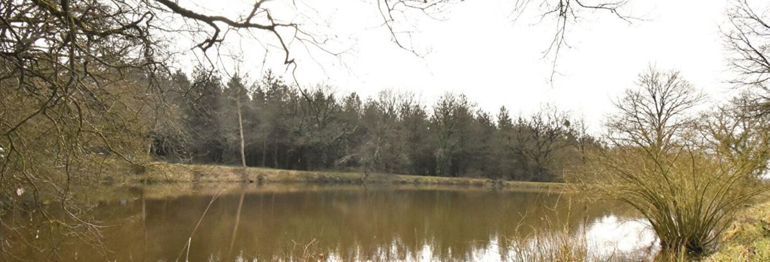 Maison  11556 m² à vendre à La Plaine (49360)