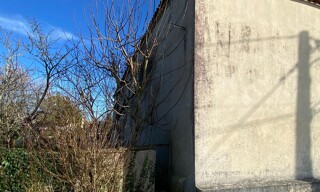 Photo N° 8