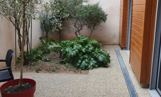 Photo N° 6