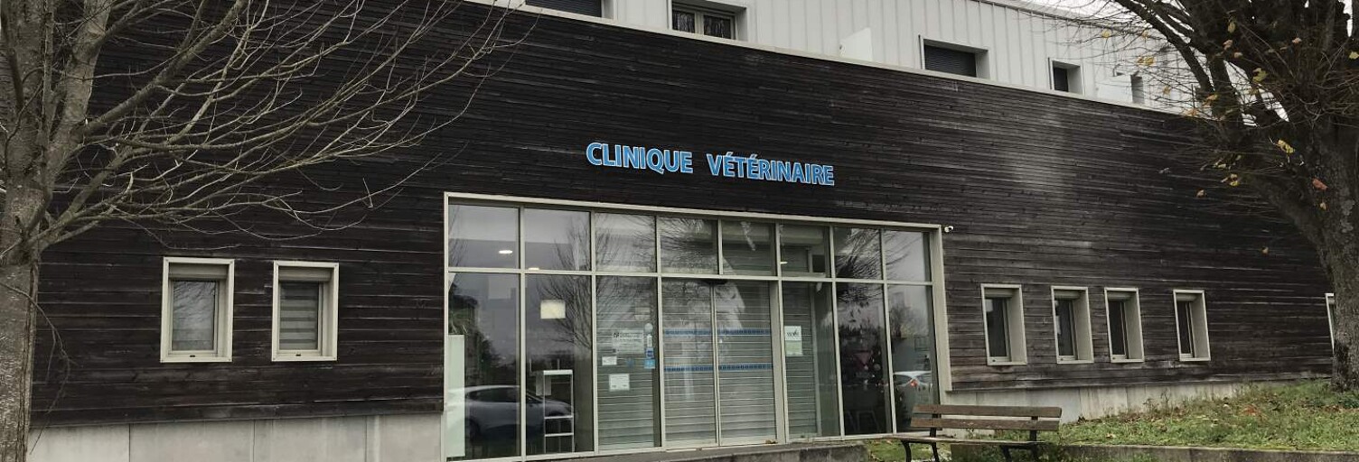 Commerce 9 Pièces 189 m² à vendre à Truyes (37320)