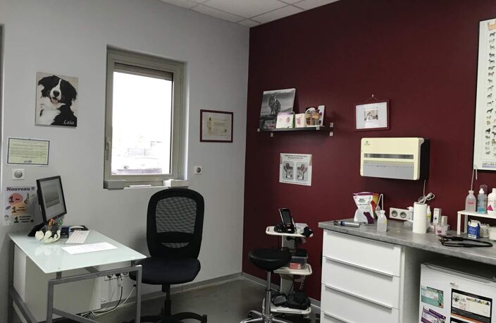 Vente commerce 9 pièces 189 m² Truyes (37320) — photo 4