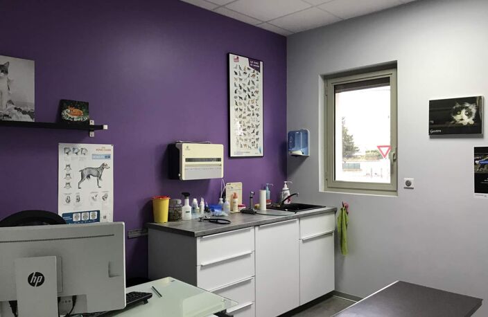 Vente commerce 9 pièces 189 m² Truyes (37320) — photo 5