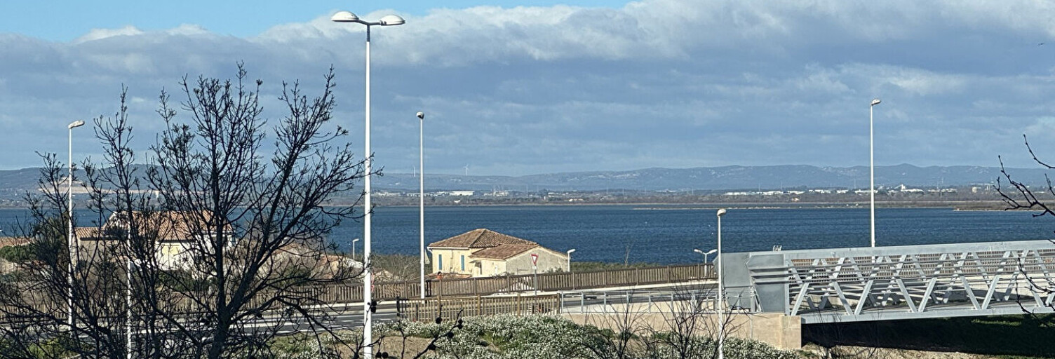 Appartement 1 Pièce 24 m² à vendre à Mauguio (34130)