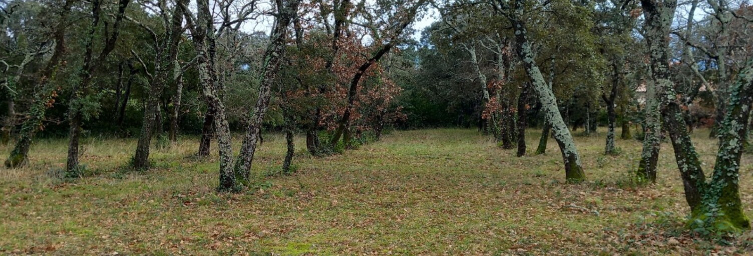 Terrain 1055 m² à construire Saint-Siffret (30700)