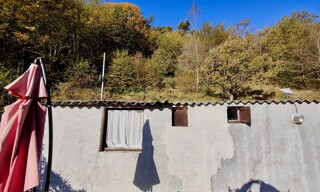 Photo N° 7