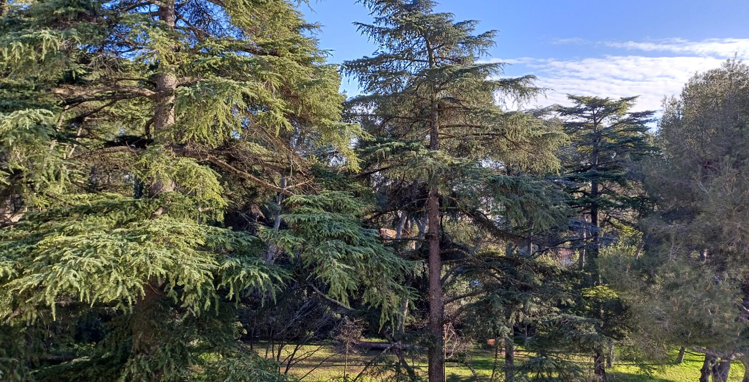 Appartement Montpellier Aiguelongue — photo 1