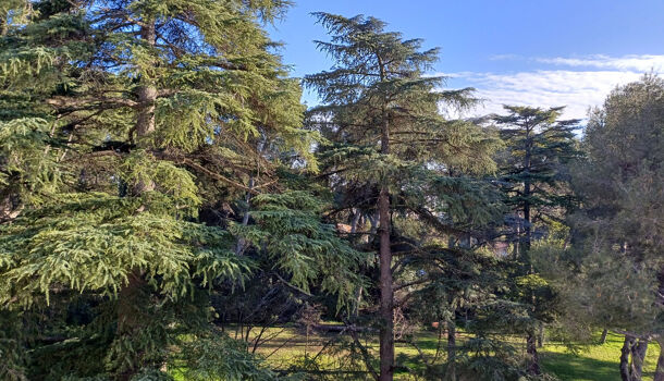 Appartement 2 pièces  à vendre Montpellier 34090