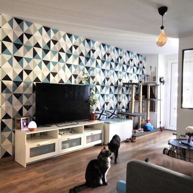 Maison 9 pièces 270000 €