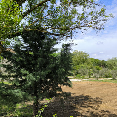 Terrain  79500 €