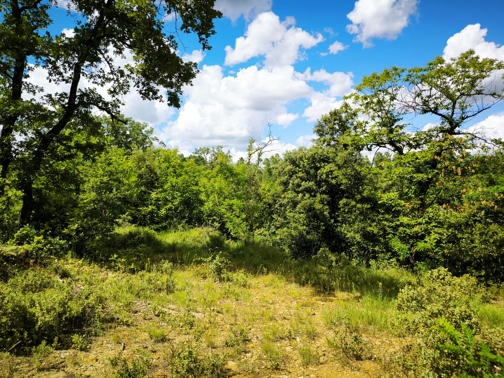Terrain  à vendre Uzès 30700