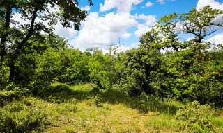 Terrain  7301 m² à vendre à Uzès (30700)