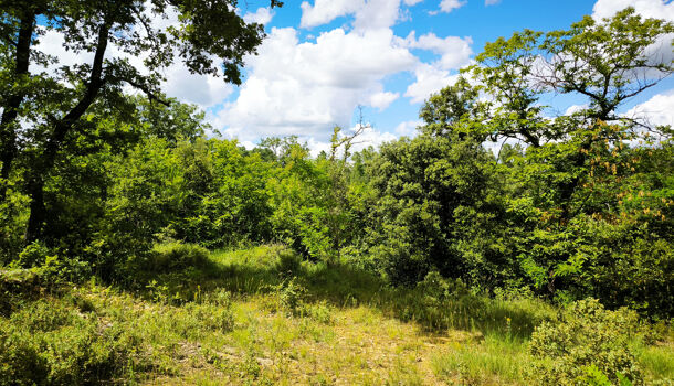 Terrain  à vendre Uzès 30700