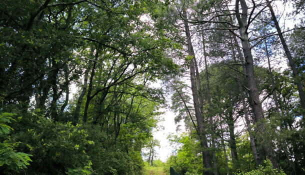 Terrain  à vendre Uzès 30700