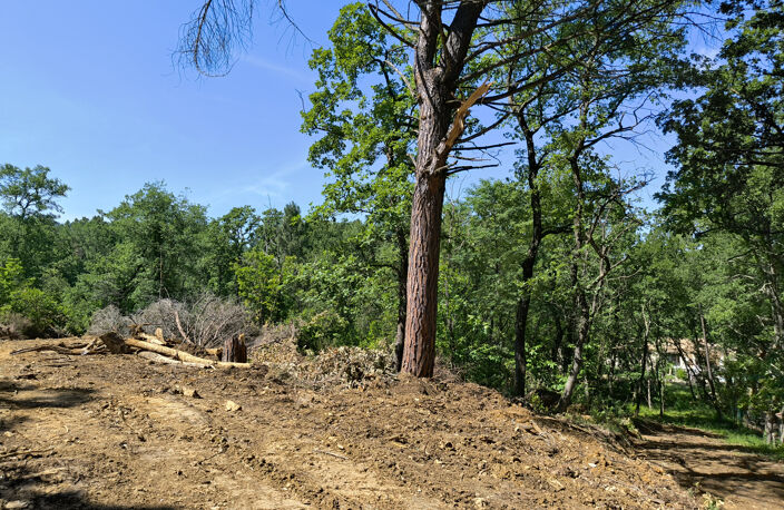Terrain à bâtir de 7300m2 éligible au PTZ pour les primo acc — photo 2