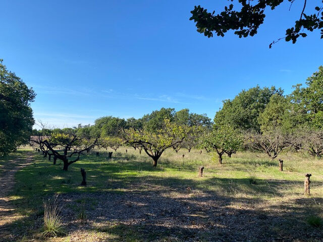 Terrain 1 pièces  à vendre Uzès 30700
