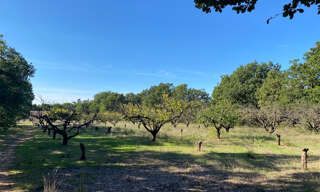 Terrain  1300 m² à vendre à Uzès (30700)