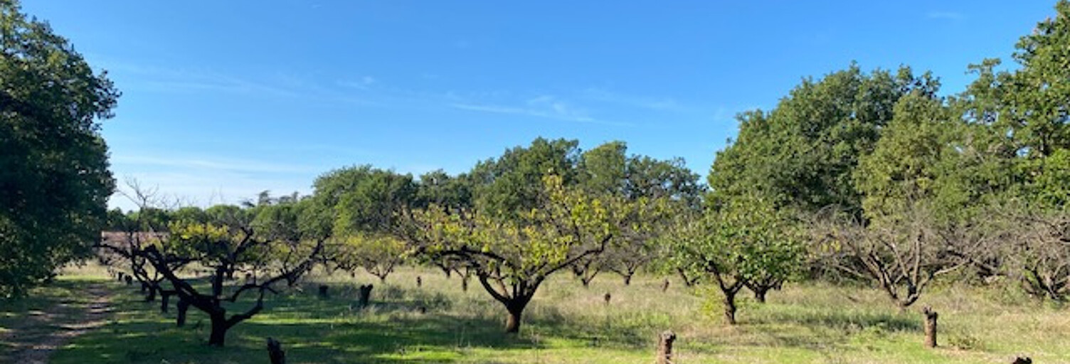 Terrain  1300 m² à vendre à Uzès (30700)