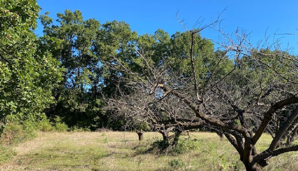 Terrain 1 pièces  à vendre Uzès 30700