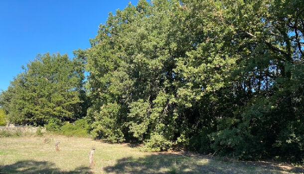 Terrain 1 pièces  à vendre Uzès 30700