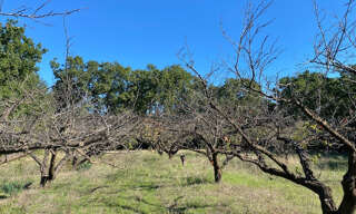 Terrain  1300 m² à vendre à Uzès (30700)