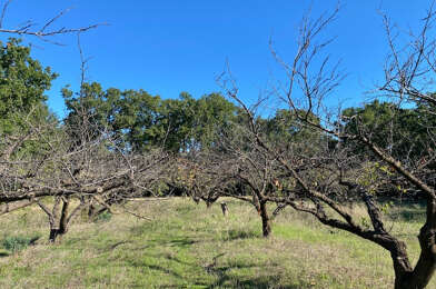 Terrain  128000 €