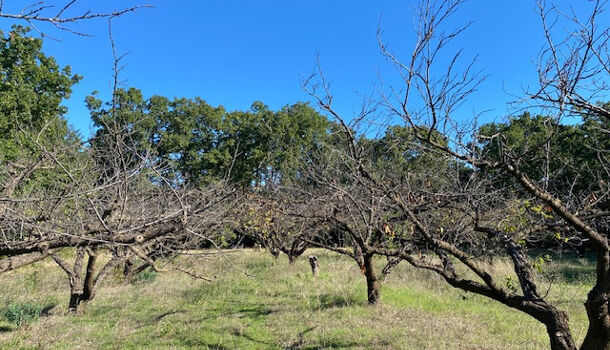 Terrain 1 pièces  à vendre Uzès 30700