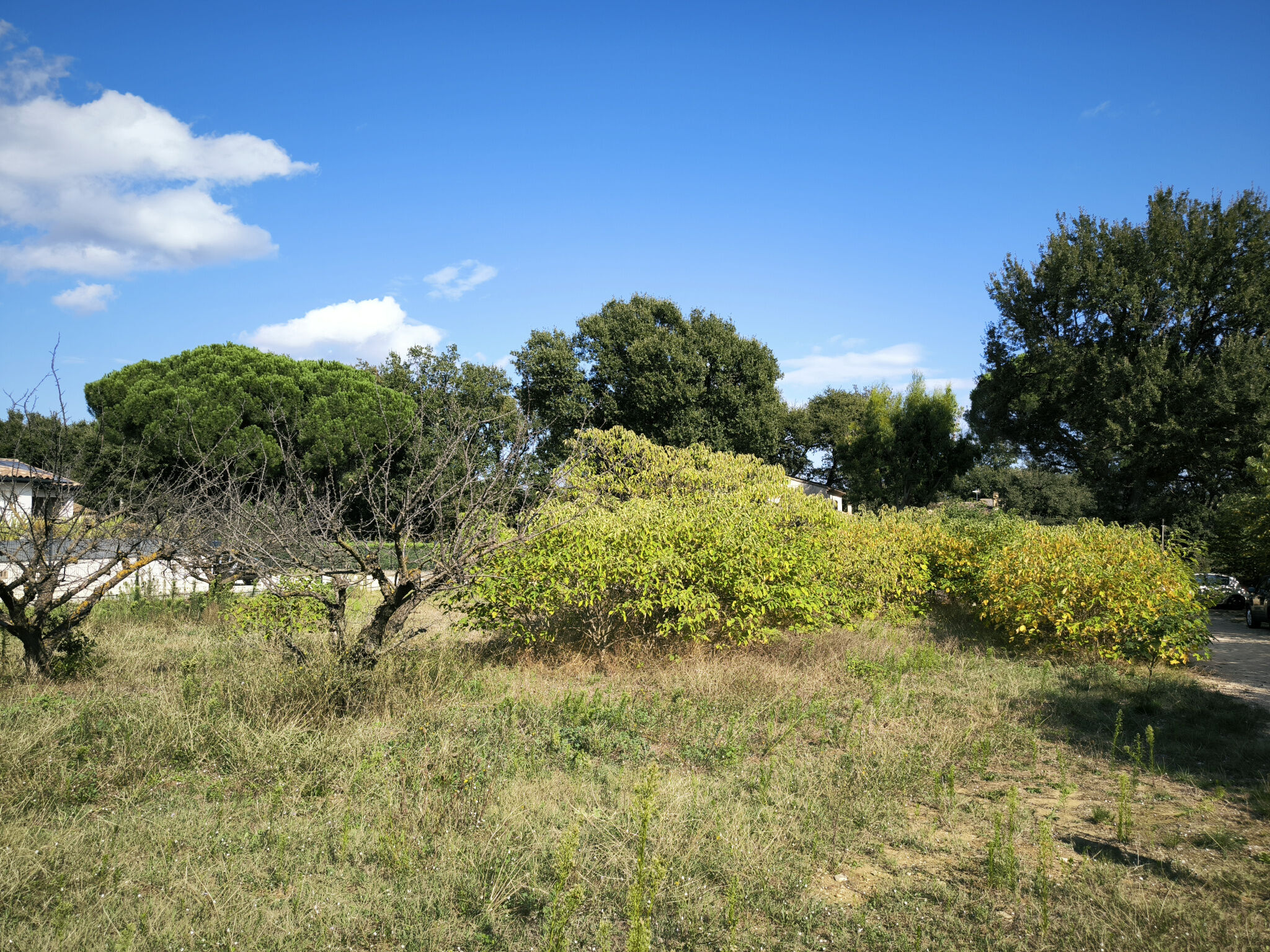 Terrain  à vendre Uzès 30700