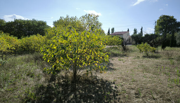 Terrain  à vendre Uzès 30700