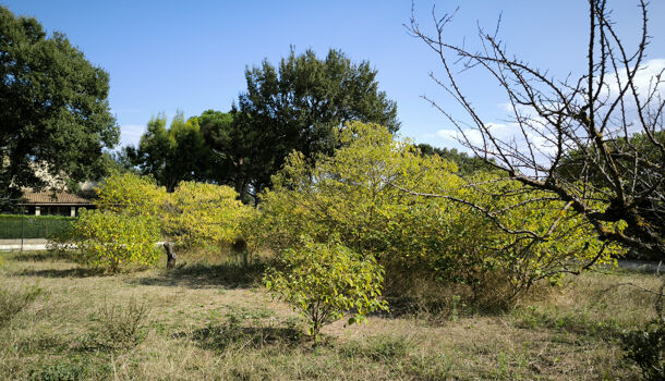 Terrain  à vendre Uzès 30700