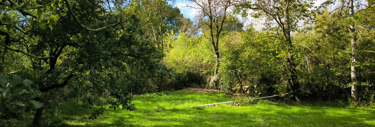 Terrain  3000 m² à vendre à Uzès (30700)