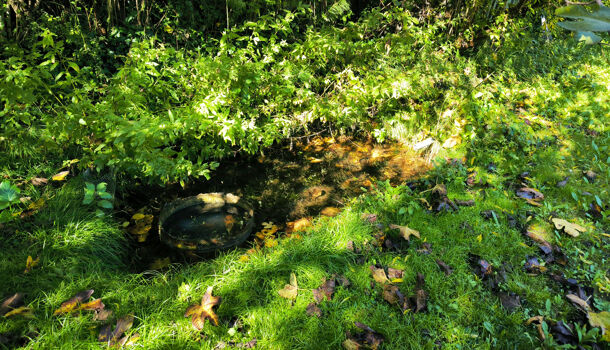 Terrain  à vendre Uzès 30700