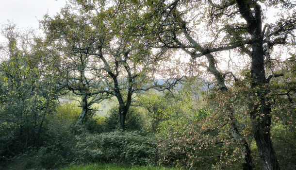 Villa / Maison 5 pièces  à vendre Uzès 30700