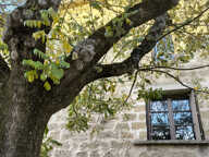Maison de village St Quentin la Poterie — photo 2