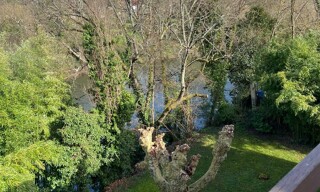 Photo N° 2