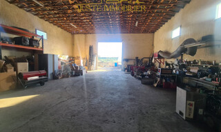 Photo N° 3