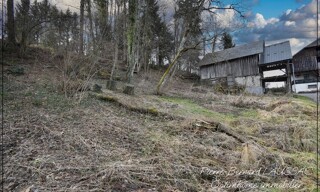 Photo N° 4