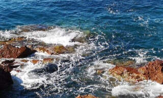 Commerce  250 m² à vendre à Toulon (83000)