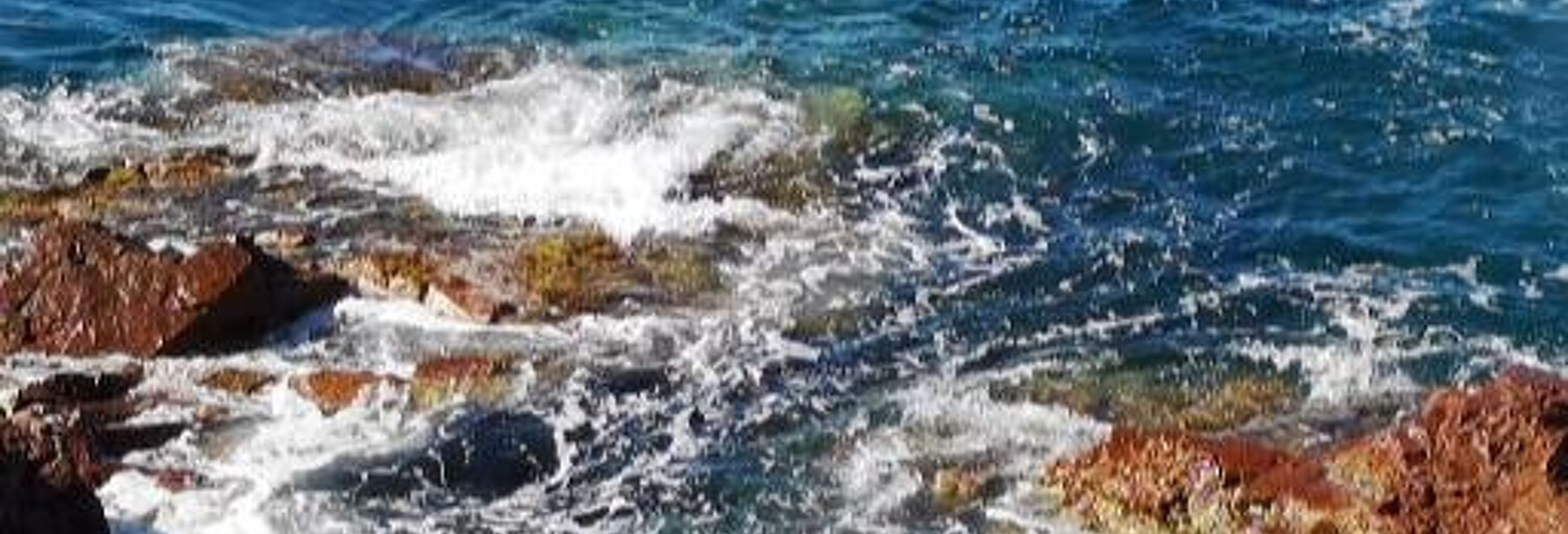 Commerce  250 m² à vendre à Toulon (83000)