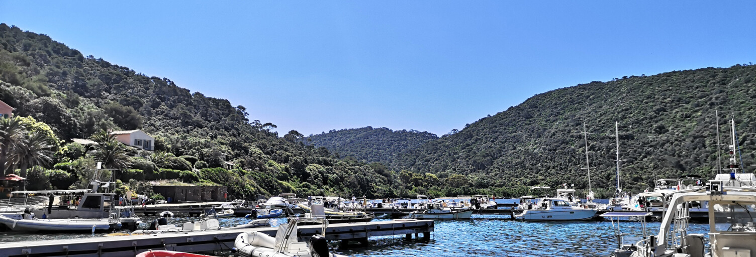 Divers  100 m² à vendre à Bormes-les-Mimosas (83230)