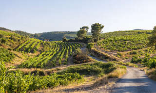 Local industriel  250 m² à vendre à Saint-André-de-Sangonis (34725)