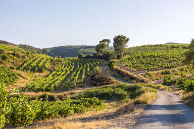 Local industriel  99000 €