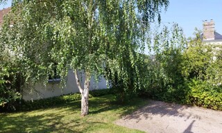 Photo N° 11